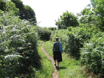 Cornwall Trip 021